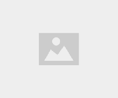 Free APA Citation Generator Assignment Help for Accurate Academic Referencing